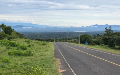 Butterfly Farm: A Flourishing Agricultural Venture in Embu County – SOLD OUT!