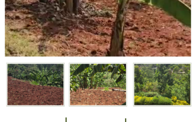 Kitisuru: Nairobi’s Premier Residential Haven and Investment Goldmine